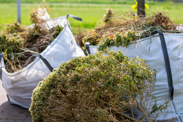 Best Professional Junk Removal  in Delano, CA